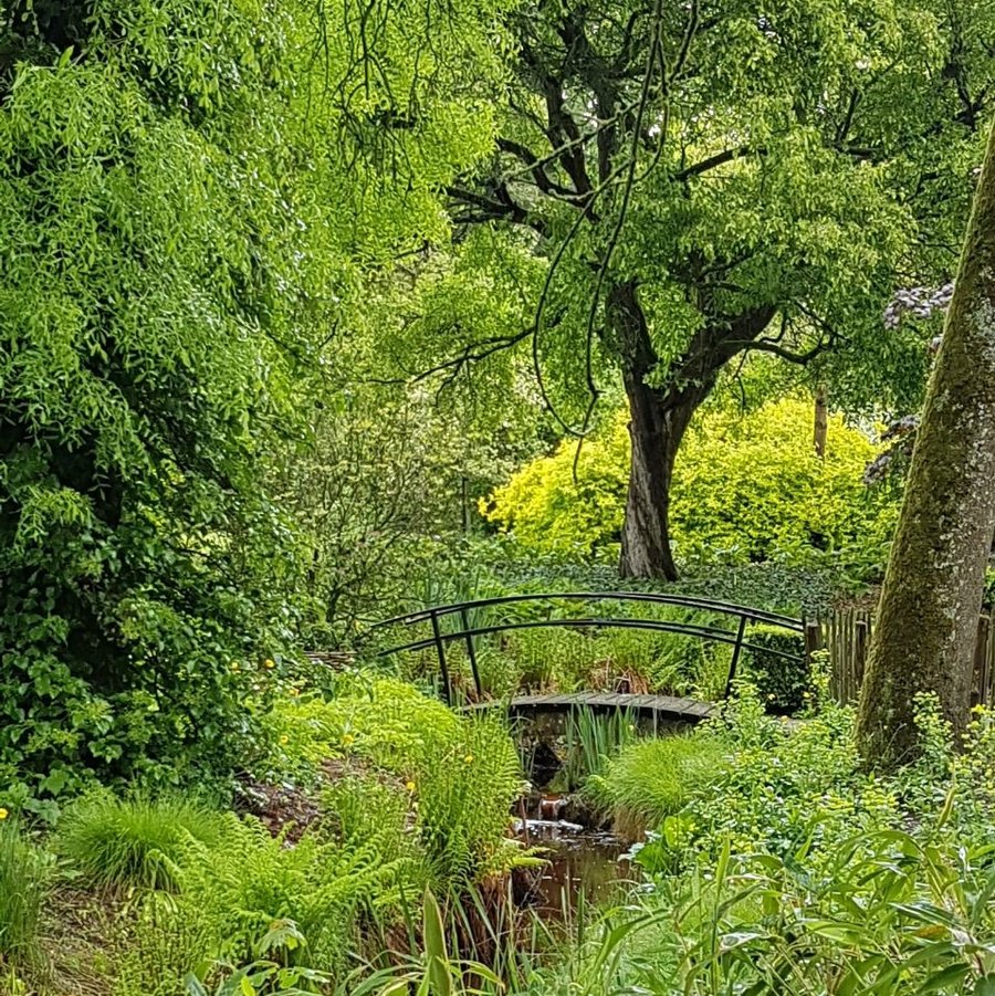 Tuinpad met brug, illustratie van een wandeling tijdens de wandelcoaching